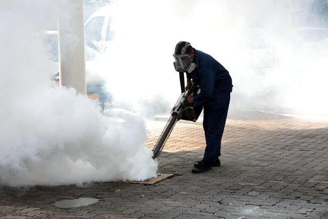 Sri Lanka'da Dang Humması İçin Denetim Başladı