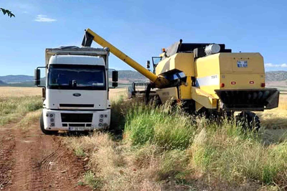 Gaziantep\'te İlk Arpa Hasadı Yapıldı