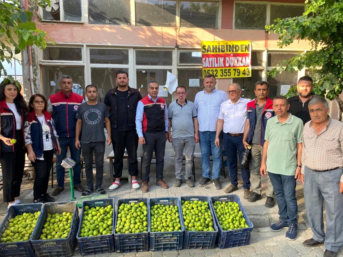 Aydın\'da İncir Üretimi İçin Denetimler Devam Ediyor