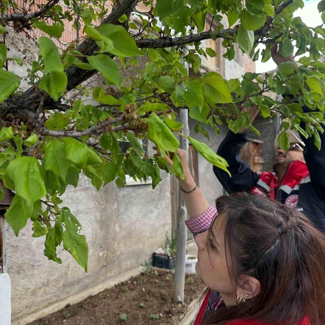 Bayburt'ta Meyve Bahçeleri Kontrol Ediliyor