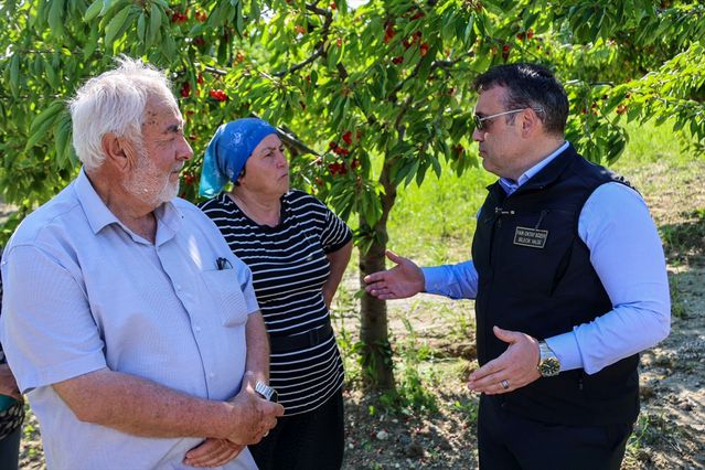 Vali Sözer, Kiraz Hasadına Katıldı