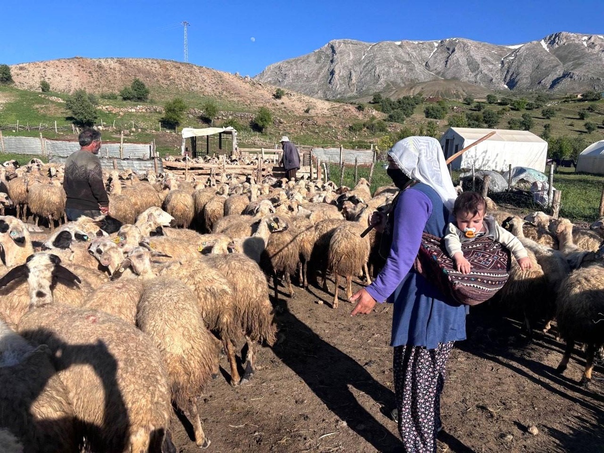 Küçükbaş Destek Projesi Sonuçları Açıklanıyor