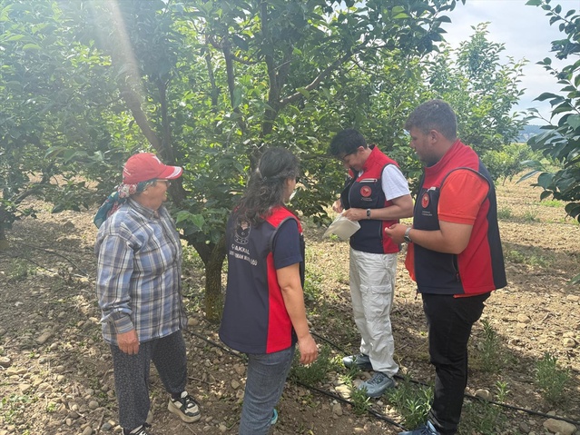 Eceabat’ta Akdeniz Meyve Sineği Mücadelesi