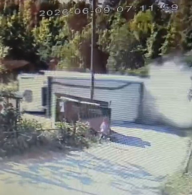 Kastamonu'da Freni Boşalan Kamyon Devrildi