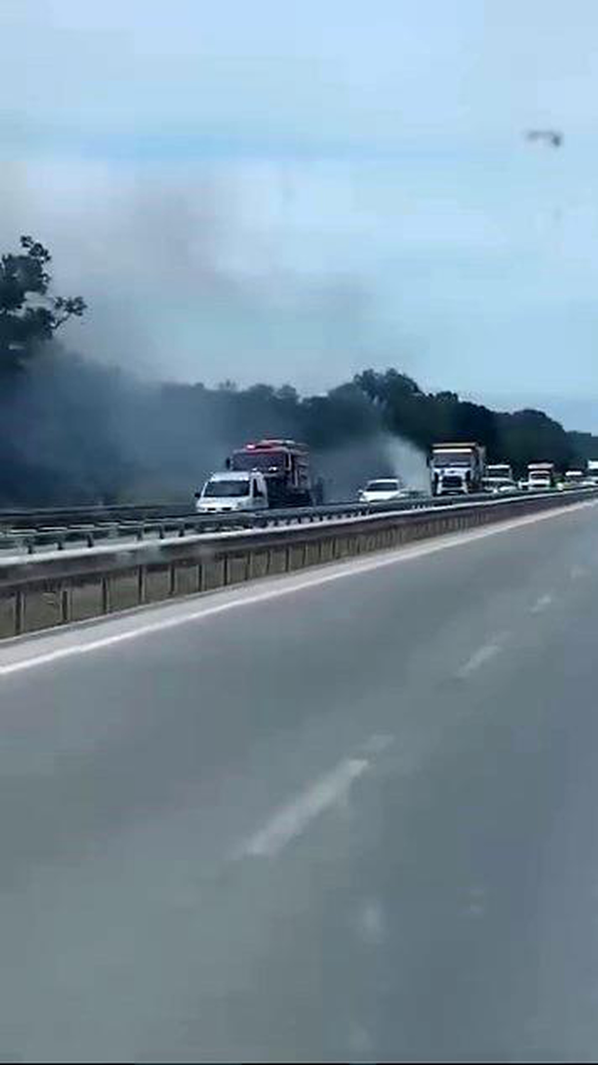 İzmir-Bursa kara yolunda alevler korkuttu