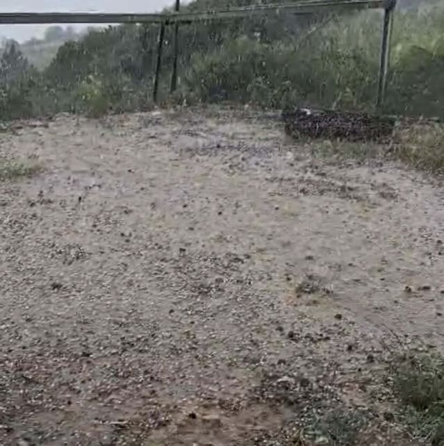 Alaşehir'de Dolu Tarım Alanlarına Zarar Verdi
