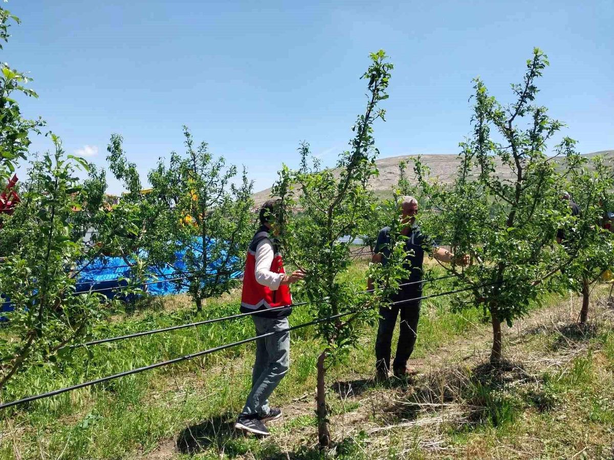 Niğde\'de Dolu ve Sağanak Zarara Yol Açtı