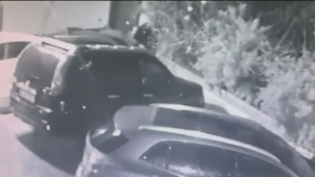 Mezdeke Dansçısının Cinayeti İtiraf Edildi
