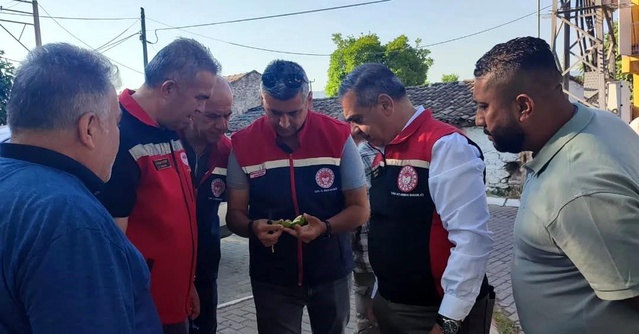 İncir Üretiminde İlek Ziyareti
