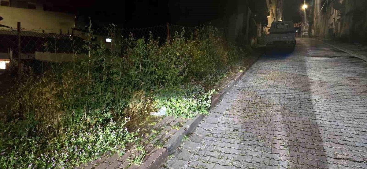 Bilecik\'te vatandaşlar otlardan kaldırımda yürüyemiyor