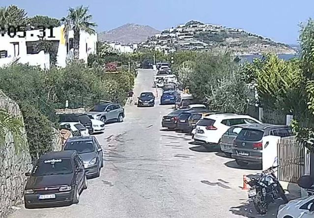 Bodrum'da Köpeğin Ölümü Davasında Beraat