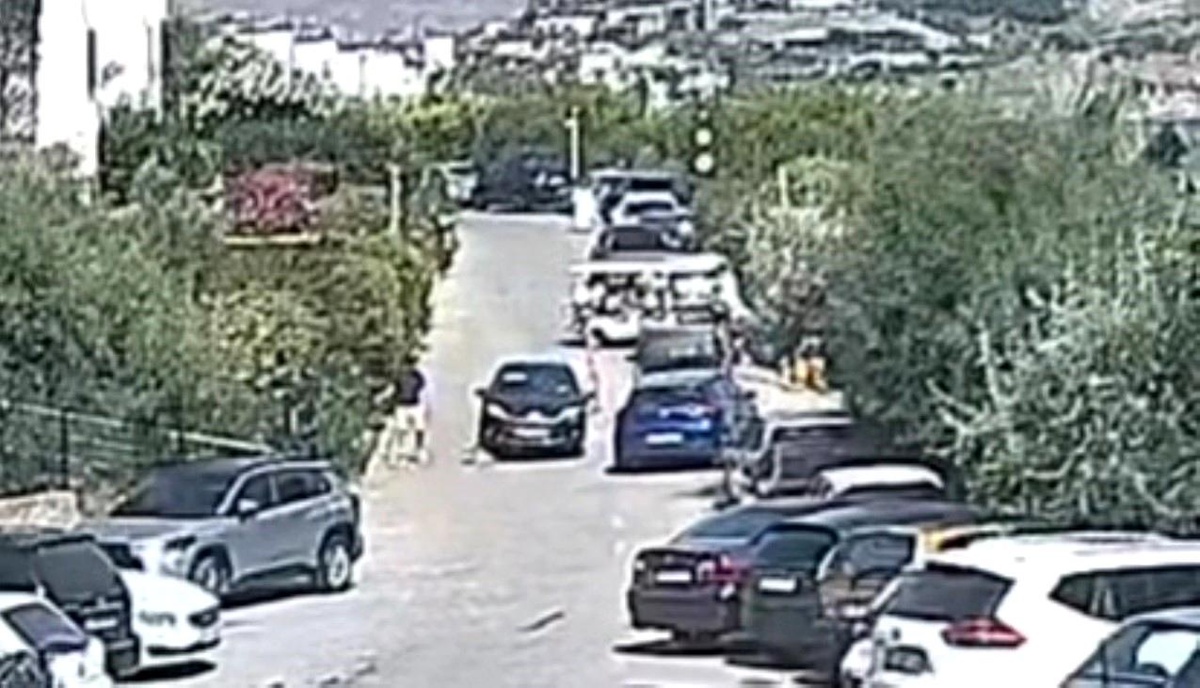 Bodrum\'da Çinko Köpeğin Ölümü: Sürücü Beraat Etti