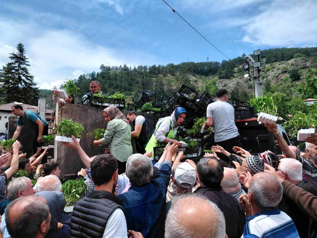 Mudurnu\'da Ücretsiz Fide Dağıtımı Sona Erdi