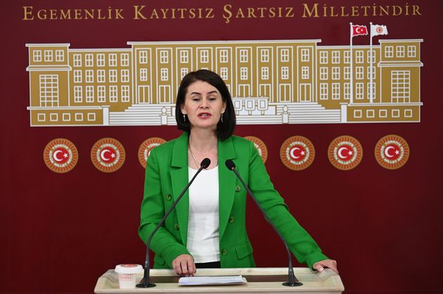 DEM Parti'den Meclis'te Açıklamalar