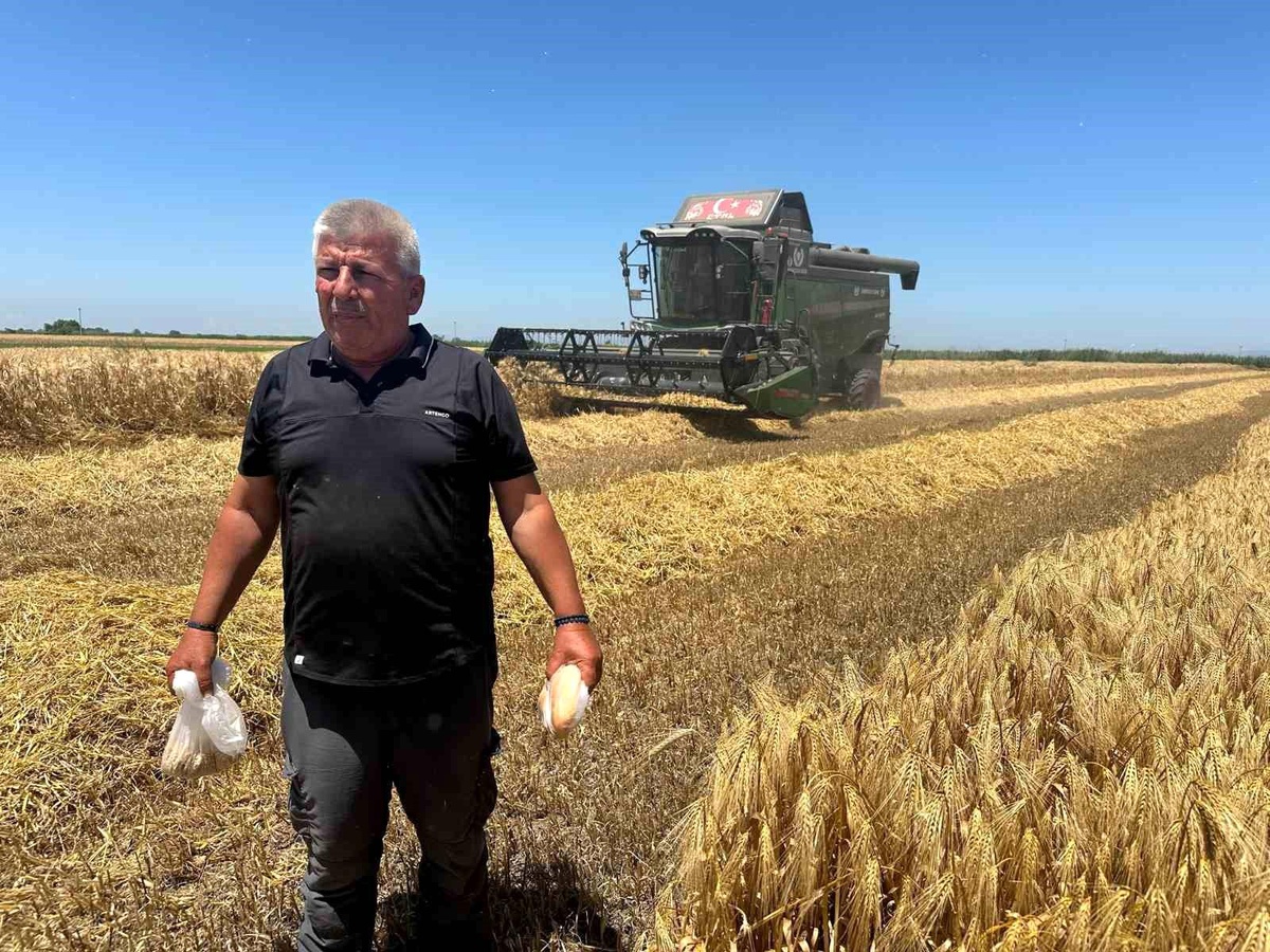 Ekmek Fiyatı ve Çiftçi Sorunu