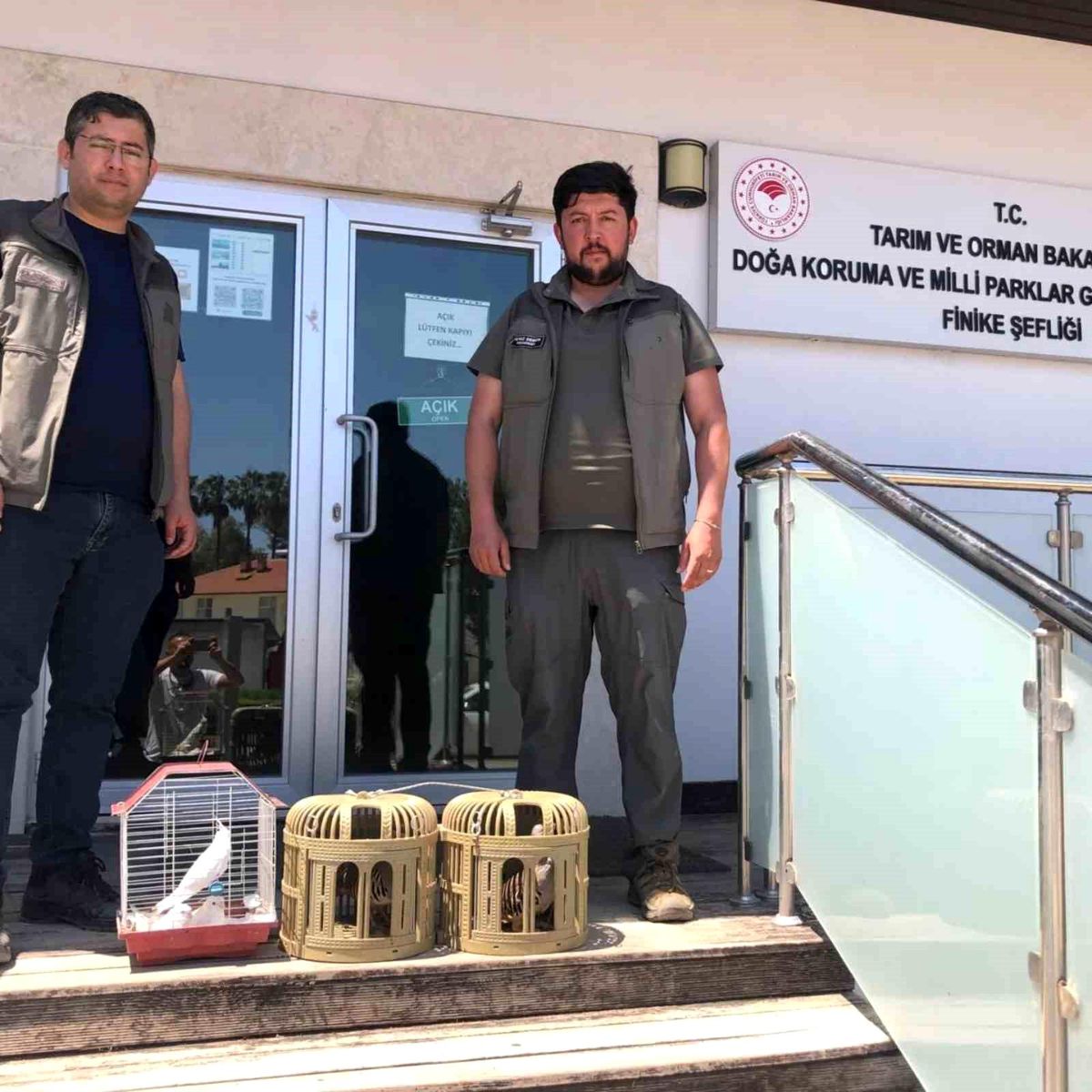 Antalya\'da yasa dışı kuş ticaretine baskın
