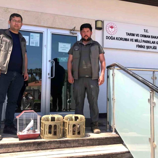 Antalya'da yasa dışı kuş ticaretine baskın
