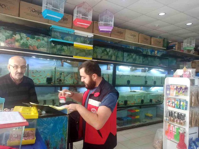 Kütahya'da Ev Hayvanı Satış Yerlerine Denetim
