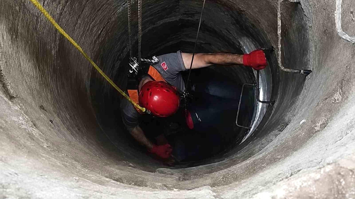 Kuyuya düşen kedinin imdadına itfaiye yetişti