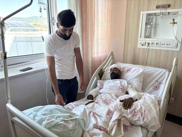 Mantar toplarken ayı saldırısına uğradı, kollarıyla başını s