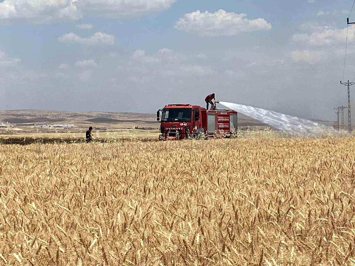 Mardin\'de 300 Dönüm Tarla Yandı