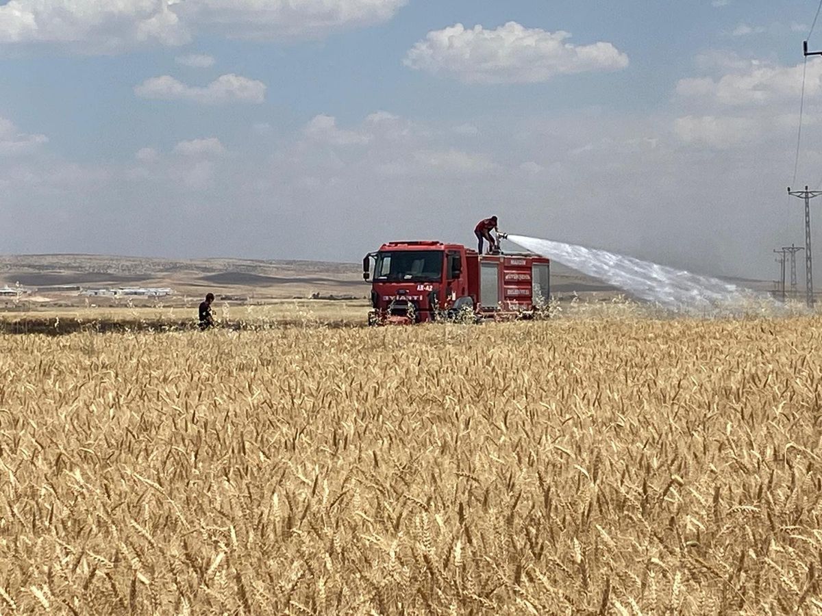 Mardin\'de Tarım Arazisinde Yangın