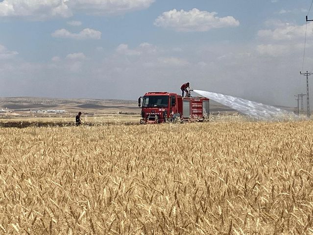 Mardin'de Tarım Arazisinde Yangın
