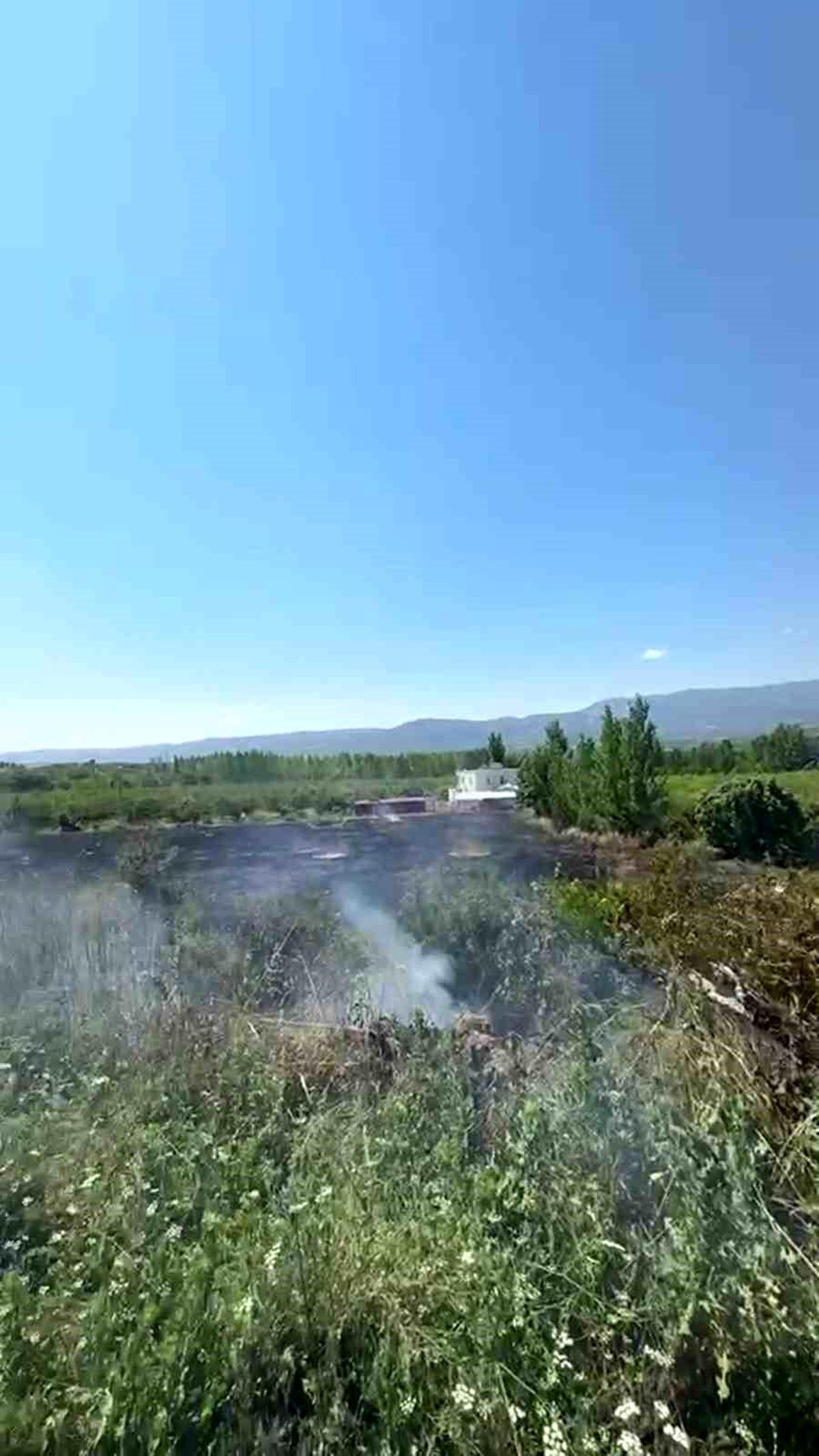 Mersin Mut\'ta yangın: 15 dönüm bahçe zarar gördü