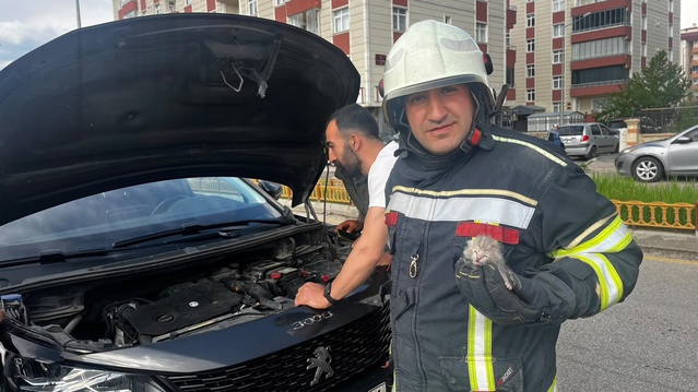 Otomobilin Motorunda Sıkışan Yavru Kediler Kurtarıldı