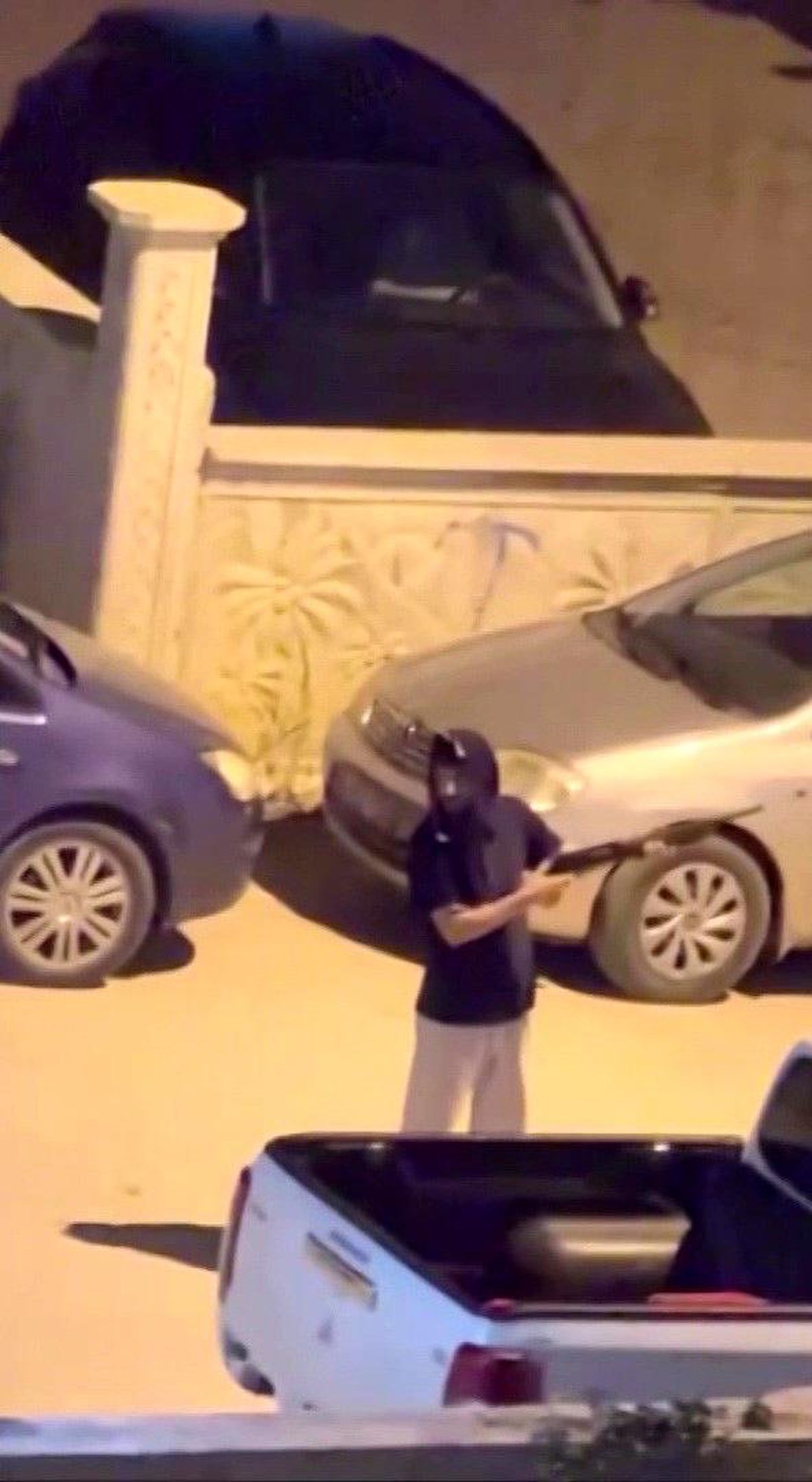 Sokakta Pompalı Tüfekle Gezen Şahıs Gözaltına Alındı