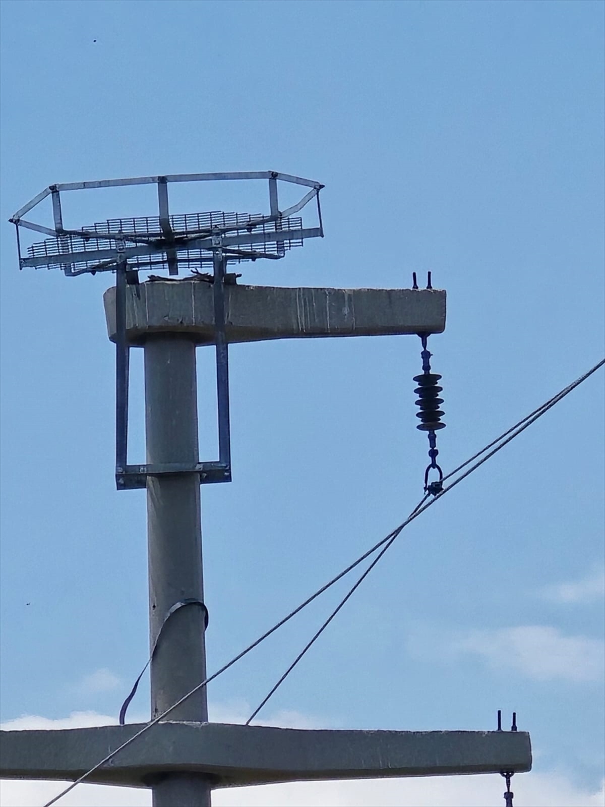 Şırnak\'ta Leylekler İçin Güvenli Platformlar Kuruldu