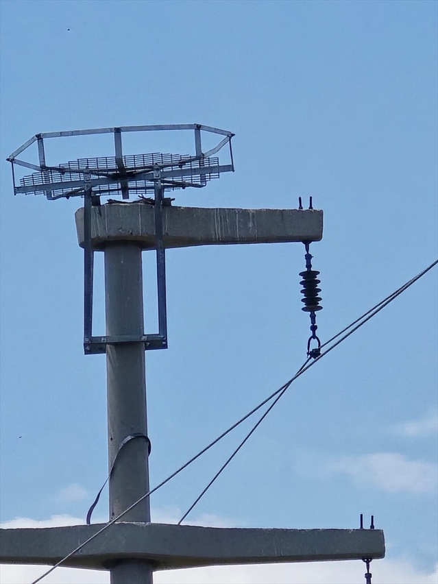 Şırnak'ta Leylekler İçin Güvenli Platformlar Kuruldu