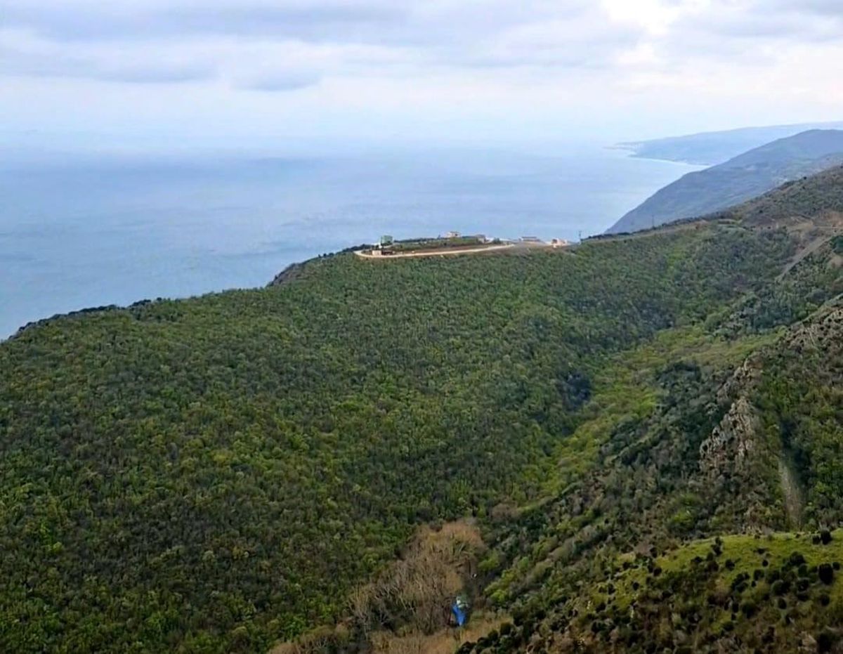 Tekirdağ\'da Ormanlık Alanlara Giriş Yasağı