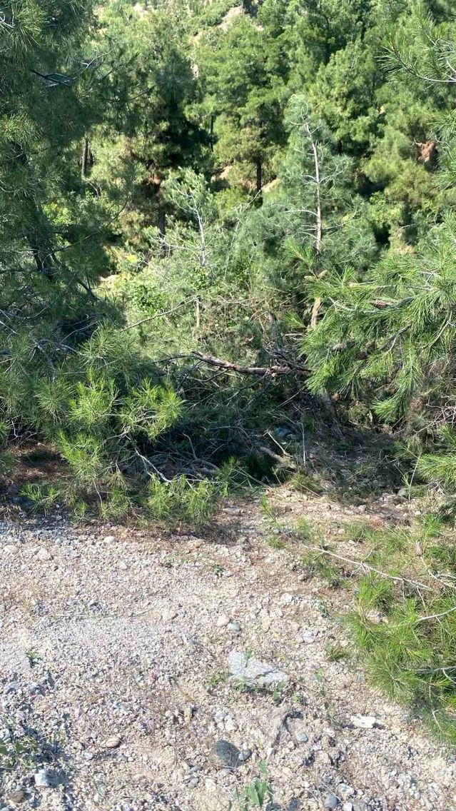 Denizli'de Uçuruma Yuvarlanan Traktörde Sürücü Hayatını Kayb