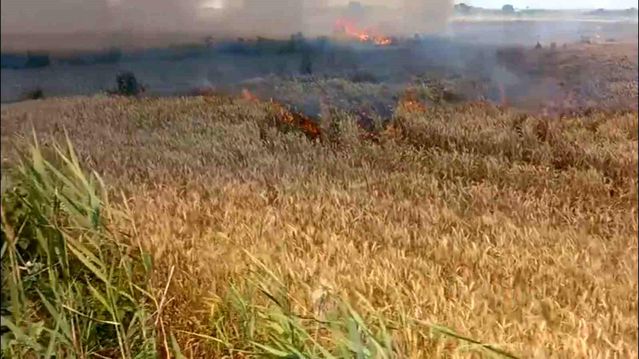 Edirne'de Yangın: 6 Dönüm Buğday Zarar Gördü