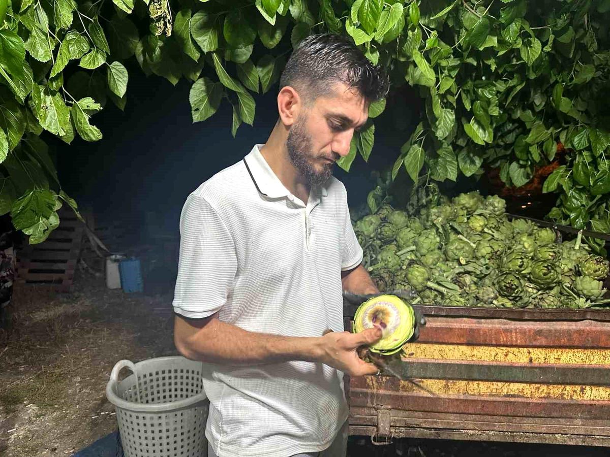 Bursa\'da Enginar Soyucularının Başarı Hikayesi