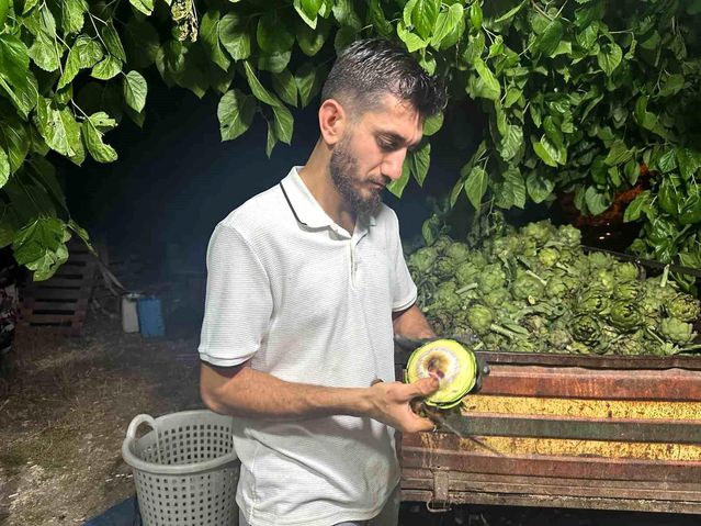 Bursa’da Enginar Soyucularının Başarı Hikayesi