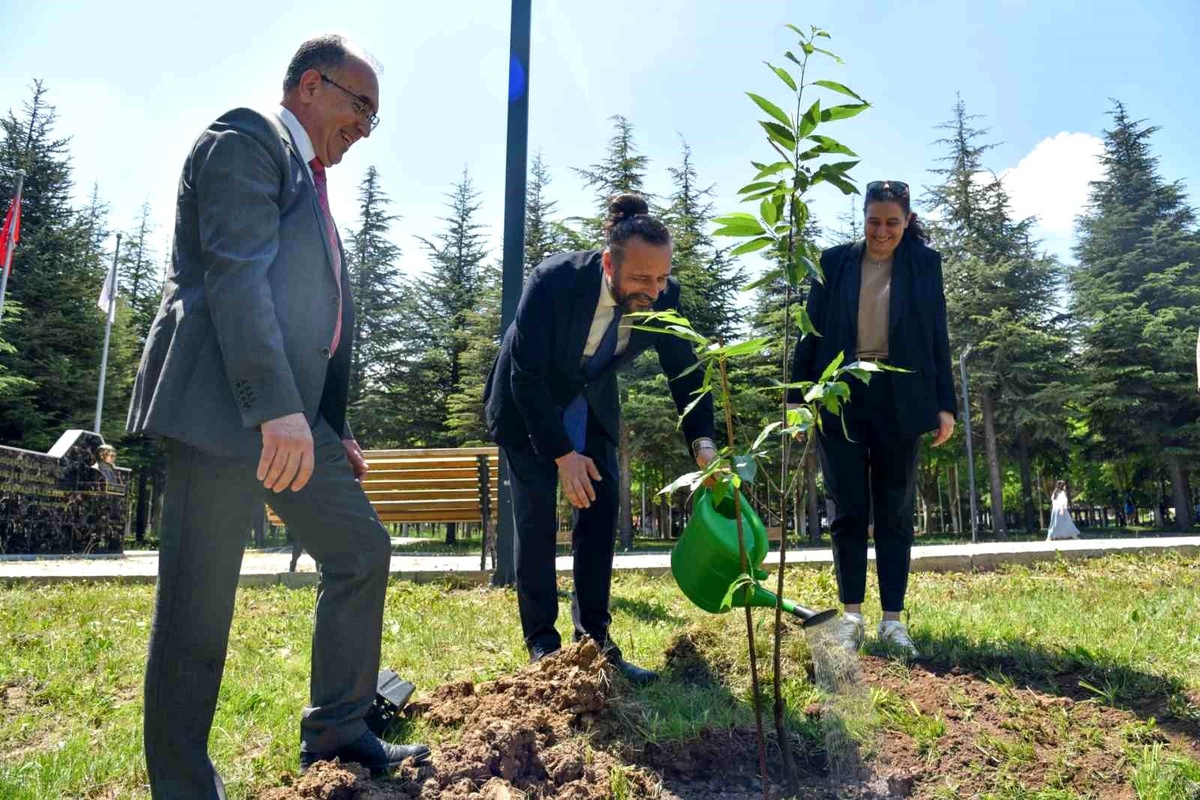 Bilecik\'te \'Kampüsü Ağaçlandırıyoruz\' sloganıyla fidanlar toprakla buluştu