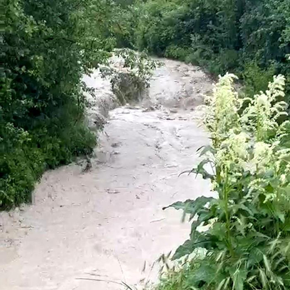Mudurnu\'da Şiddetli Yağış Tarım Arazilerini Vurdu