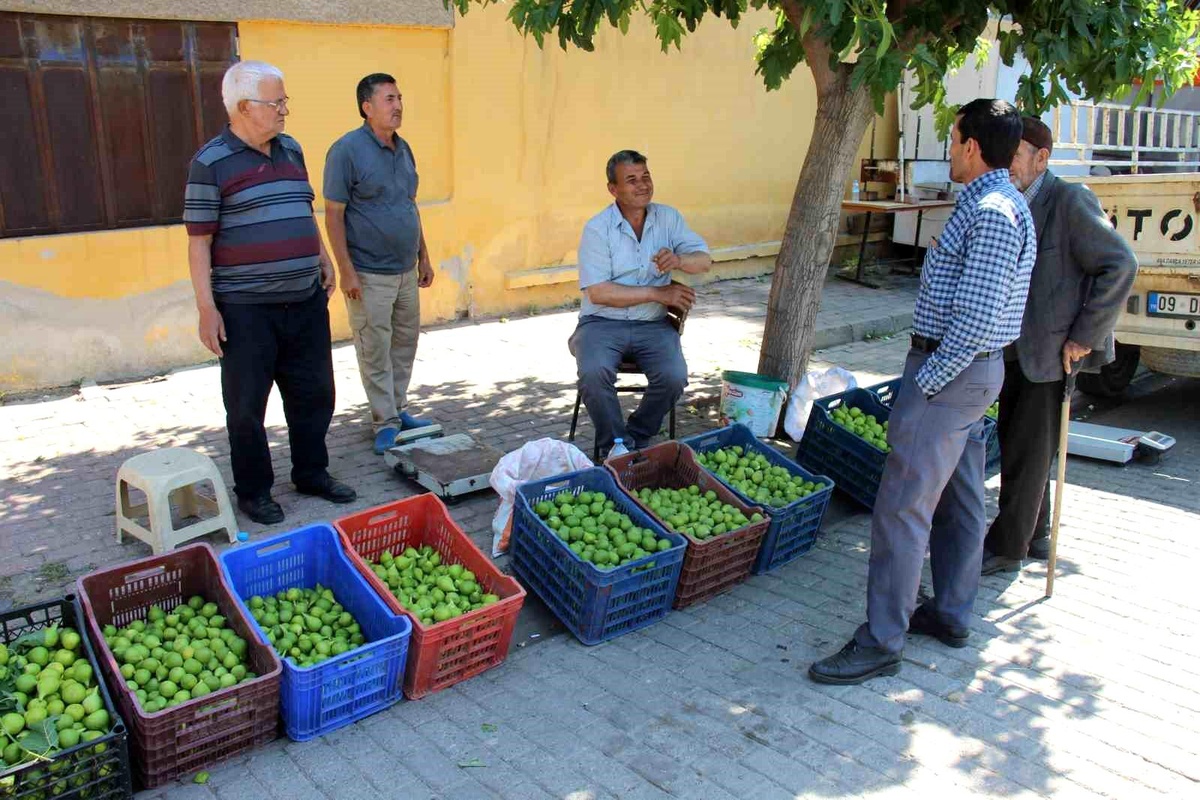 Aydın\'da İlekler 500 TL\'den Satılıyor