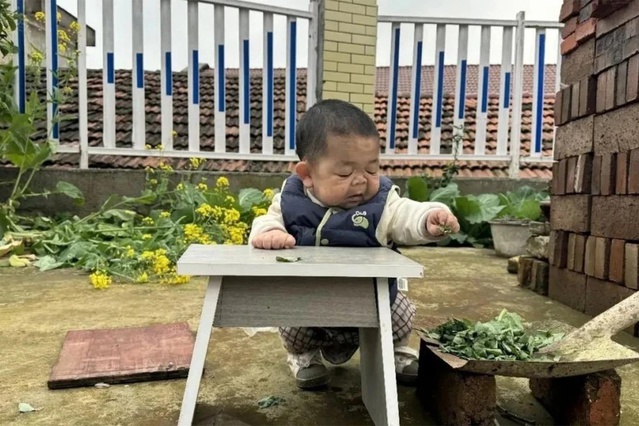 Çinli Wang’ın hikâyesi milyonları ağlattı: 25 yaşında ama bebek boyutlarında