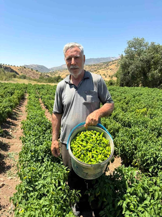 Çermik Biberi Pazarında Fırsatlar