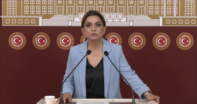 Koçyiğit'ten Barış ve Demokrasi Vurgusu