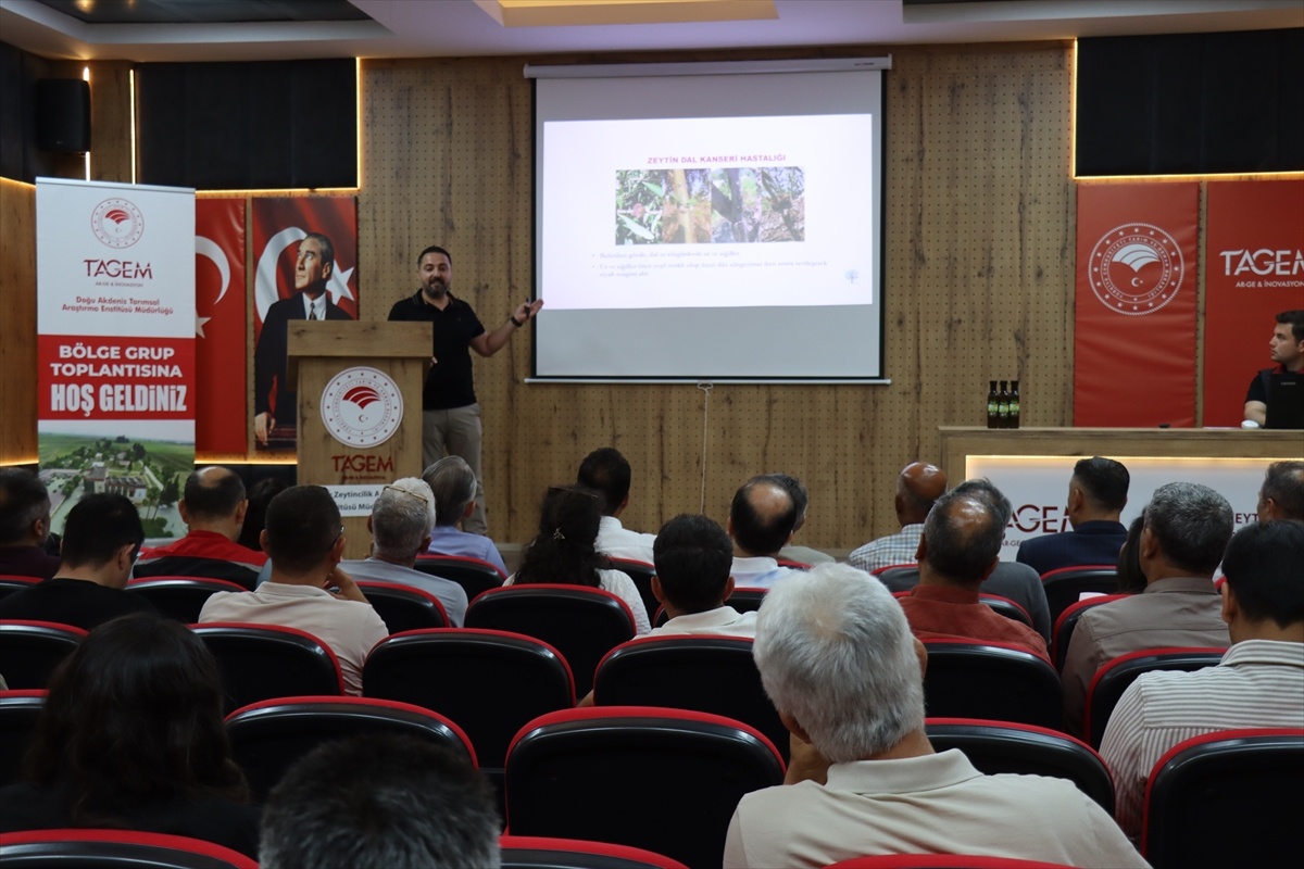 Hatay\'da Zeytin Sorunları ve Çözüm Önerileri Toplantısı