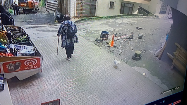 Ayşe Baş'ın Martı Arkadaşı