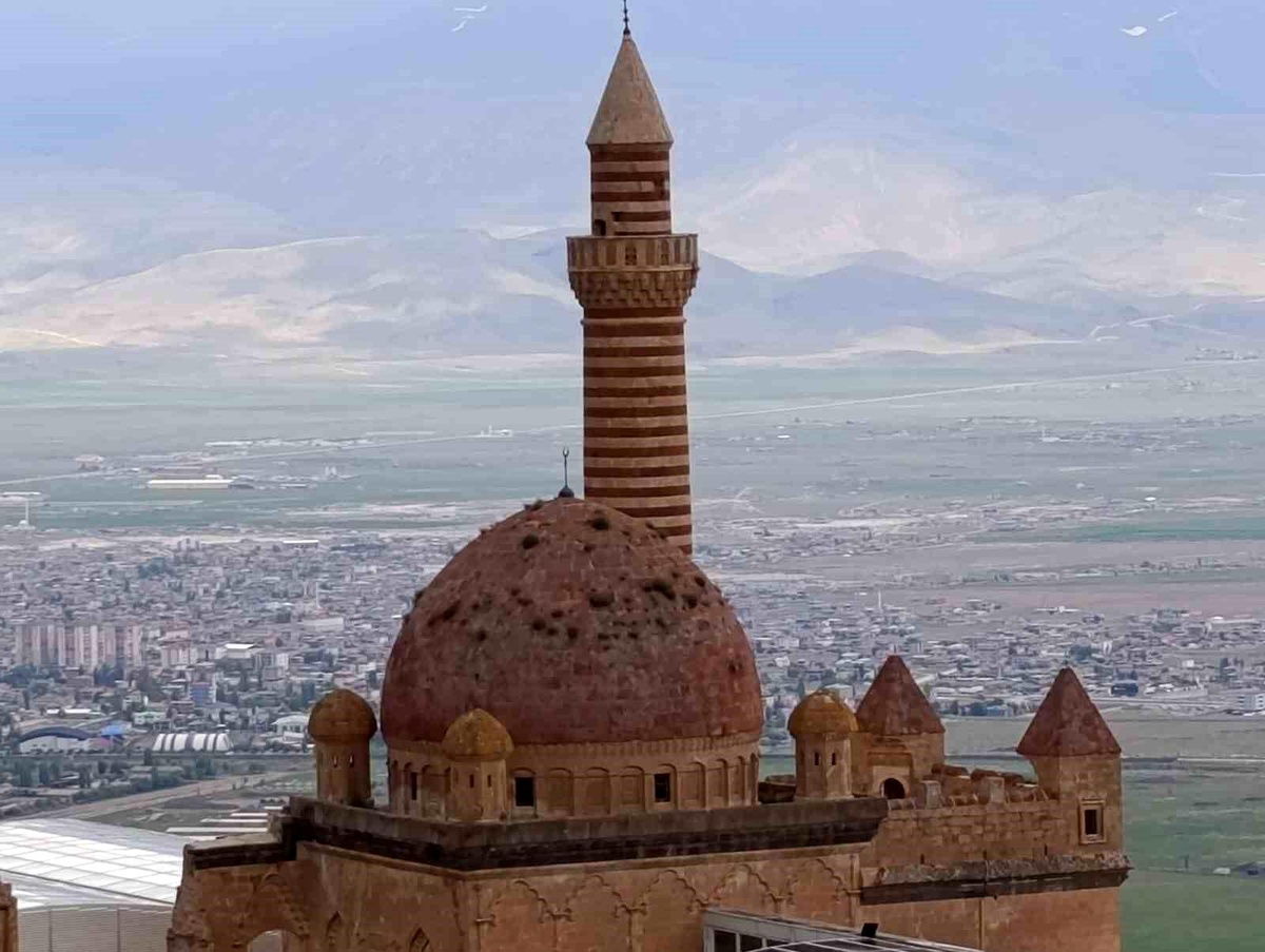 İshakpaşa Sarayı\'nda Bitki Endişesi