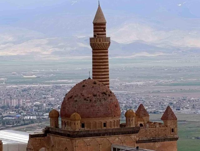 İshakpaşa Sarayı'nda Bitki Endişesi