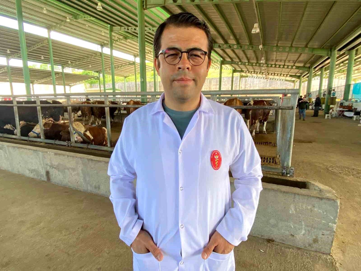 Kene Vakalarına Dikkat!