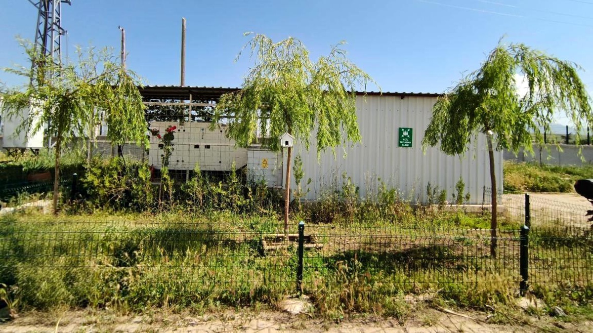 Öğrencilerden Kuşlara Yuvalar