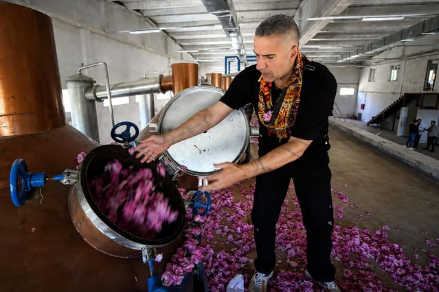 Milyon dolarlık yatırımla yeni sektöre atılan Berdan Mardini
